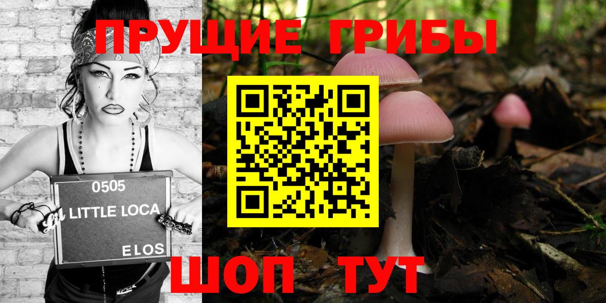 Псилоцибиновые грибы GOLDEN TEACHER  Псилоцибиновые грибы GOLDEN TEACHER  Вход с VPN  купить закладку  Миллерово 